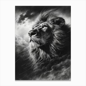 Barbary Lion Charcoal Drawing Facing A Storm 4 Canvas Print