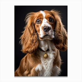 Golden And White English Cocker Spaniel Fluff Surrounding Soft Happy Gaze Purebred Demeanor Sitti (1) 1 Leinwandbild