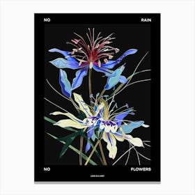 No Rain No Flowers Poster Love In A Mist Nigella 5 Canvas Print