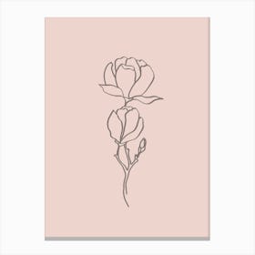 Blush Pink Magnolia Line Art Canvas Print