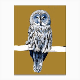 The Great Grey Owl On Burnt Gold Canvas Print
