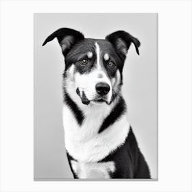Beauceron B&W Pencil dog Canvas Print