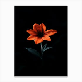 Orange Flower On Black Background 9 Canvas Print