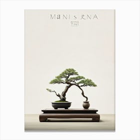 Bonsai Tree Centers Composition Minimalist Aesthetic Neutral Toned Backdrop Soft Shadows Dancing Canvas Print