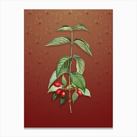 Vintage Cornelian Cherry Botanical on Falu Red Pattern n.0558 Canvas Print