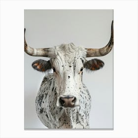 Longhorn Bull 1 Canvas Print