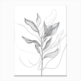 Lily Of The Valley 1 Canvas Print