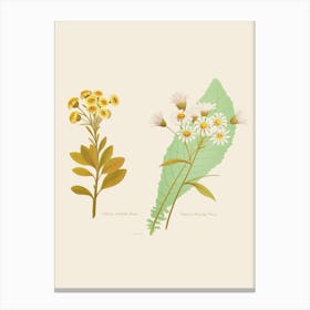 Two Flowers And Leaves Canvas Print