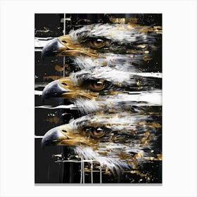 Three Eagles Canvas Print