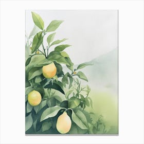 Lemon Tree Atmospheric Watercolour Painting 2 Canvas Print