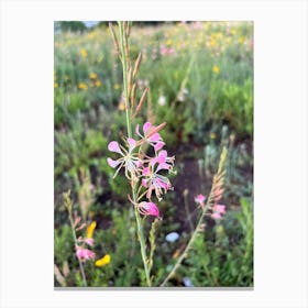 Pink Wildflowers. - photography Canvas Print