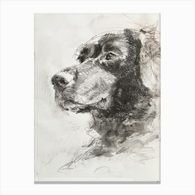 Curly Coated Retriever Dog Charcoal Line 1 Canvas Print