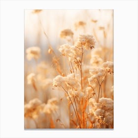 Boho Dried Flowers Lantana 1 Canvas Print