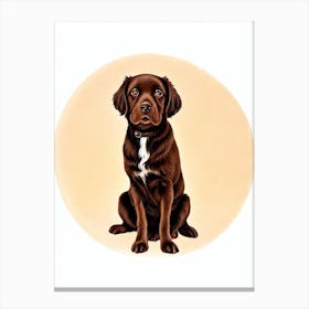 Boykin Spaniel Illustration dog Canvas Print
