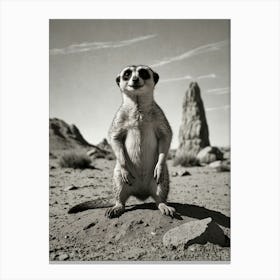 Meerkat In The Desert Canvas Print