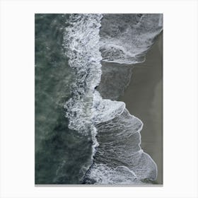Wild Waves Canvas Print