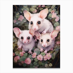 Adorable Chubby Mother Possum With Babies 3 Canvas Print