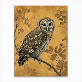 Spotted Owl Japanese Painting 1 Canvas Print