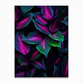 Colourful Leaves 2 Canvas Print