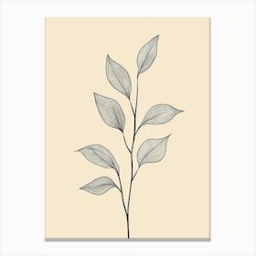 Drawing Of A Leaf Canvas Print