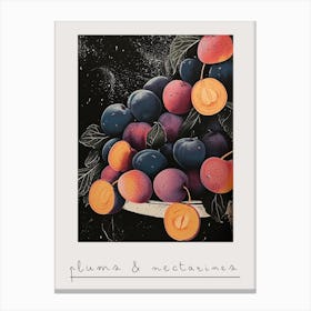 Plums & Nectarines Art Deco Inspired 1 Poster Canvas Print