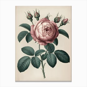 Roses Canvas Print