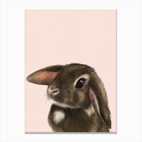 Baby Bunny Canvas Print