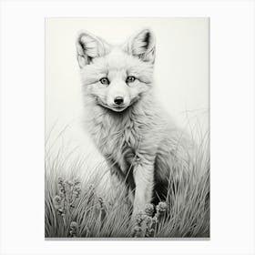 Arctic Fox In A Field Pencil Drawing 1 Canvas Print