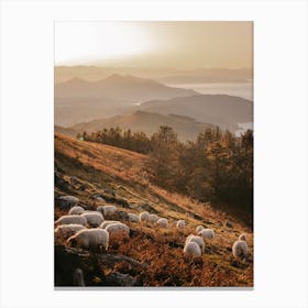 Sheep On Hillside Canvas Print