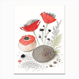 Poppy Seeds Spices And Herbs Pencil Illustration 4 Canvas Print