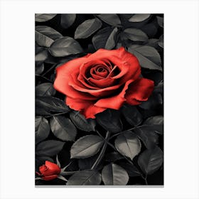 Red Rose On Black Background 27 Canvas Print