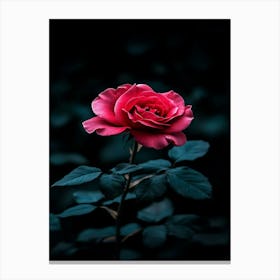 Dark Rose 118 Canvas Print