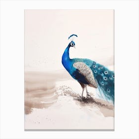 Peacock On The Beach Watercolour Canvas Print