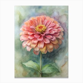 Dahlia 9 Canvas Print