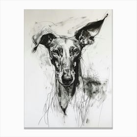 Ibizan Hound Dog Charcoal Line 1 Canvas Print