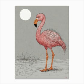 Pink Flamingo 8 Canvas Print