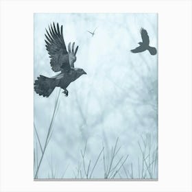 Crows In Flight 2 Canvas Print