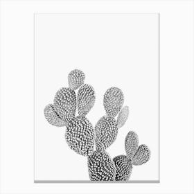 Wild Desert Cactus Canvas Print