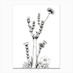 Cactus Canvas Print