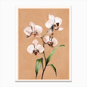White Orchid Floral Art 2 Canvas Print