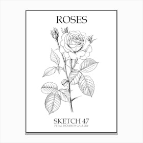 Roses Sketch 47 Poster Canvas Print