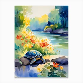 Turtle By The Water Canvas Print