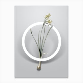 Vintage Narcissus Calathinus Minimalist Floral Geometric Circle on Soft Gray n.0291 Canvas Print