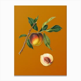 Vintage Peach Botanical on Sunset Orange n.0167 Canvas Print