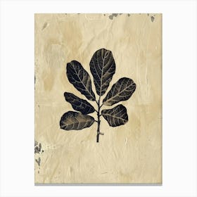Eucalyptus Leaf 3 Canvas Print