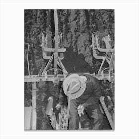 Untitled Photo, Possibly Related To Salinas, California, Intercontinental Rubber Producers Canvas Print