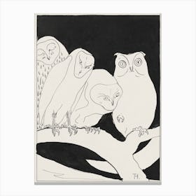 Owls On A Branch (1873–1917), Theo Van Hoytema Canvas Print