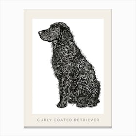 Curly Coated Retriever Dog Line Sketch Poster Canvas Print