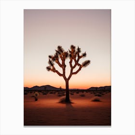  Photograph Of A Joshua Tree At Dusk  In A Sandy Desert 1 Canvas Print