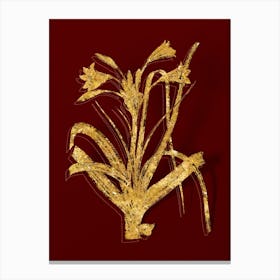 Vintage Malgas Lily Botanical in Gold on Red n.0568 Canvas Print